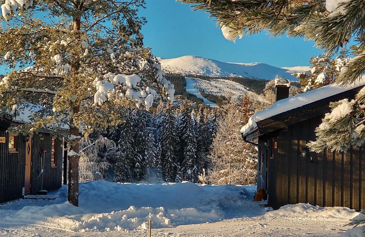 Trysil Hyttegrend Exterior foto