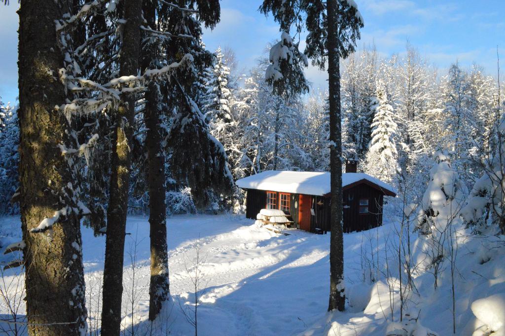 Trysil Hyttegrend Exterior foto